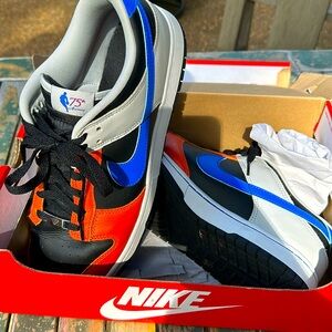 75 year anniversary dunk size 12.5 men’s